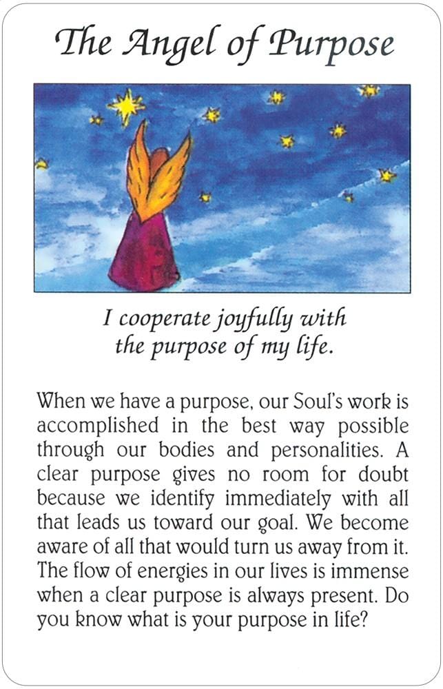 Reading Cards Angel Meditation Cards by Sonia Cafe & Neide Innecco