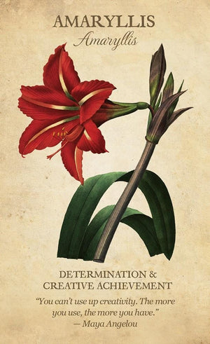 Reading Cards Botanical Inspirations Deck & Book Set by Lynn Araujo and Pierre-Joseph Redouté