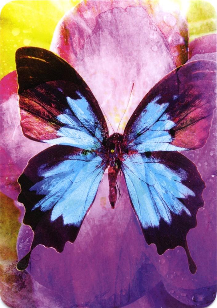 Reading Cards Butterfly Affirmations by Alana Fairchild
