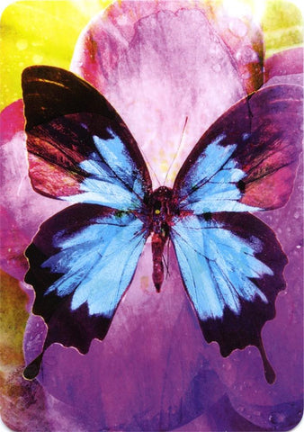Butterfly Affirmations by Alana Fairchild