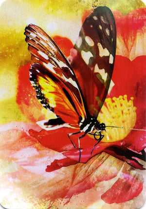 Reading Cards Butterfly Affirmations by Alana Fairchild