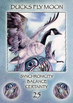 Reading Cards Spirit of the Wheel Deck by Linda Ewashina and Jody Bergsma