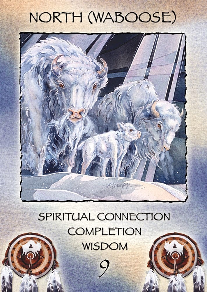Reading Cards Spirit of the Wheel Deck by Linda Ewashina and Jody Bergsma