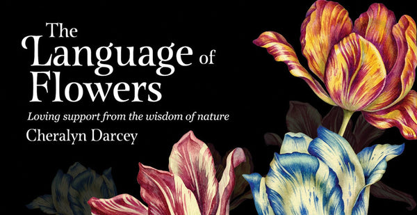 Reading Cards The Language of Flowers | Loving Support from the Wisdom of Nature by Cheralyn Darcey