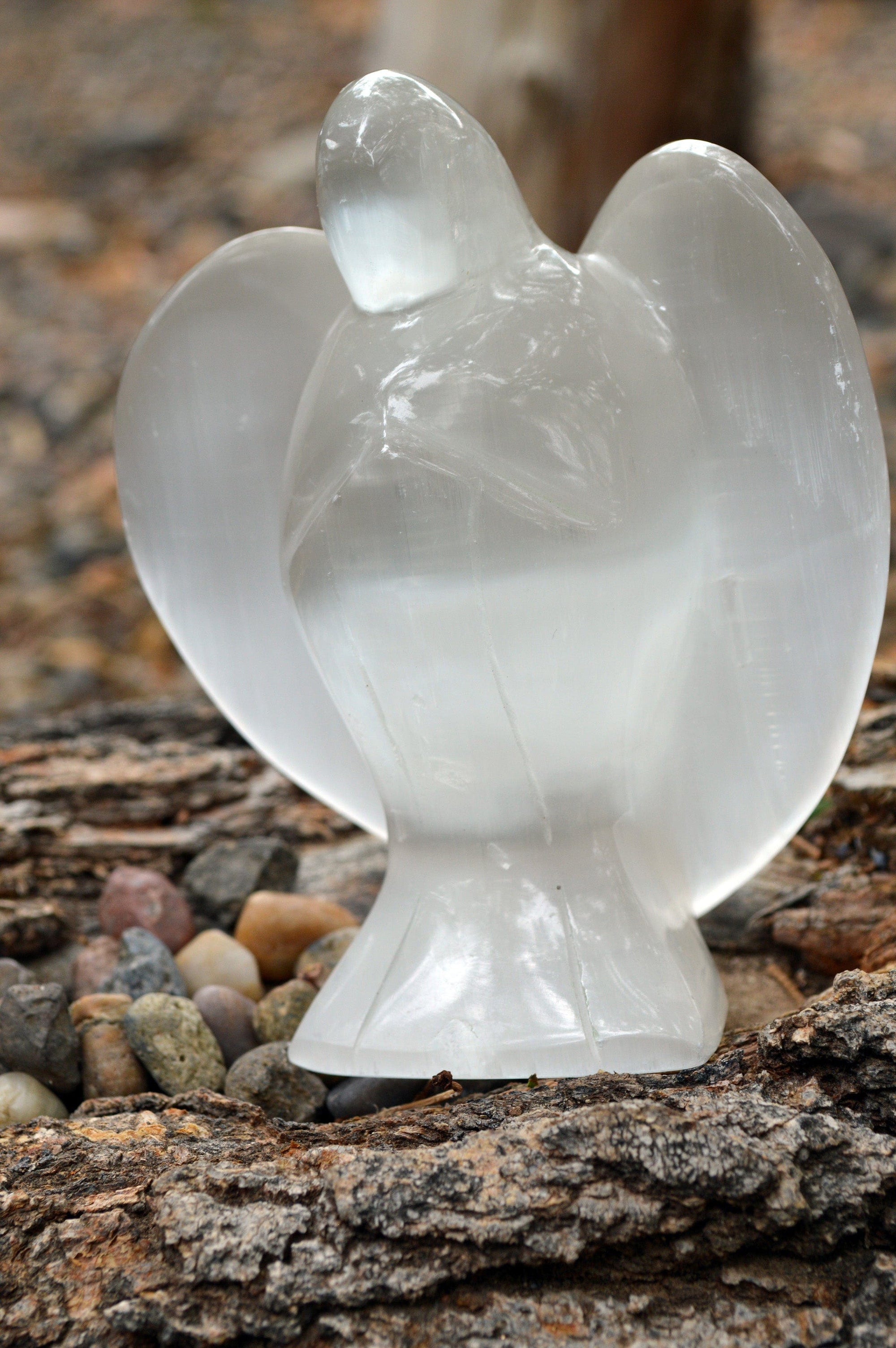 Selenite Angel Crystal Carving | Large |