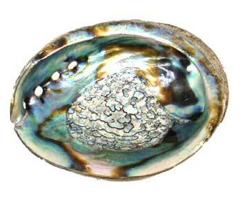 Smudge Incense Accessories Abalone Shell Incense Burner | 3