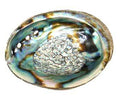 Smudge Incense Accessories Abalone Shell Incense Burner | 3