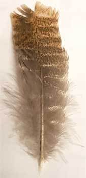 Smudge Incense Accessories Barred Wing Smudging Feather
