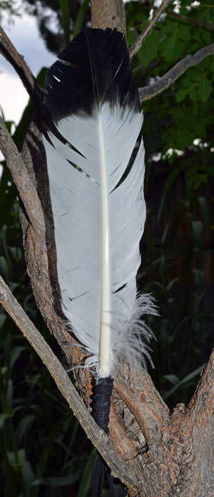 Smudge Incense Accessories Smudging "Eagle" Feather | 8-12"