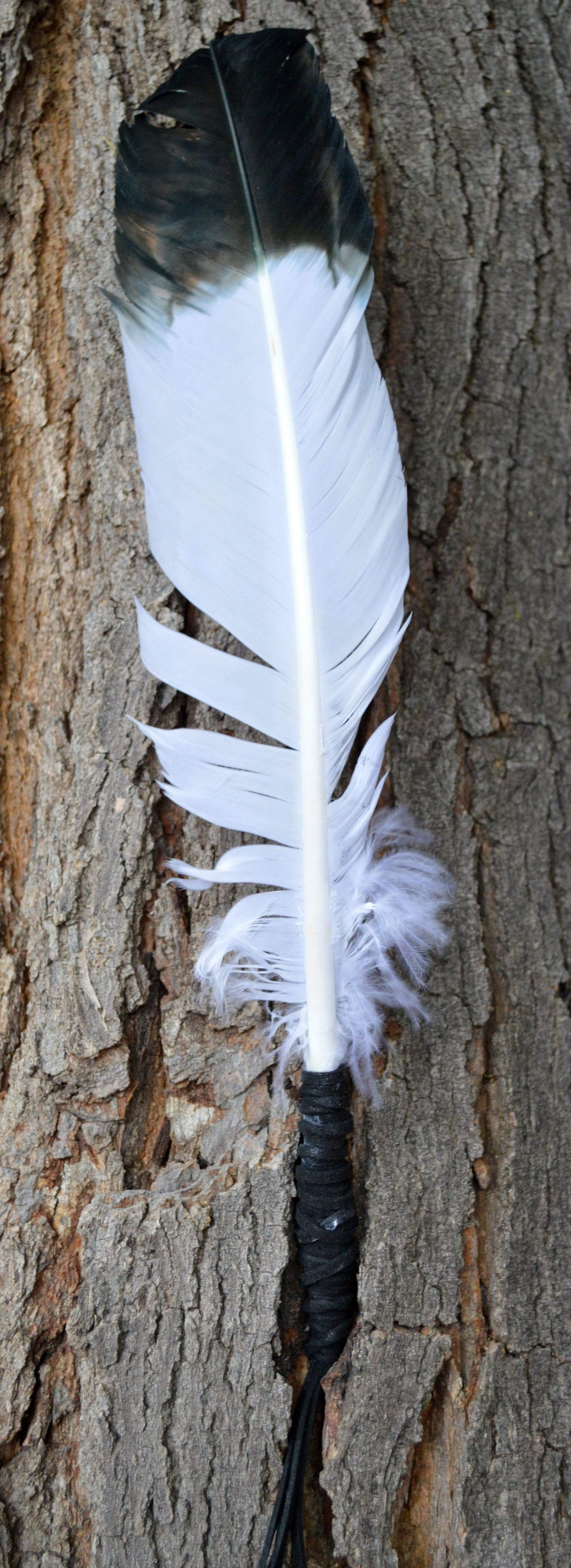 Smudge Incense Accessories Smudging "Eagle" Feather | 8-12"