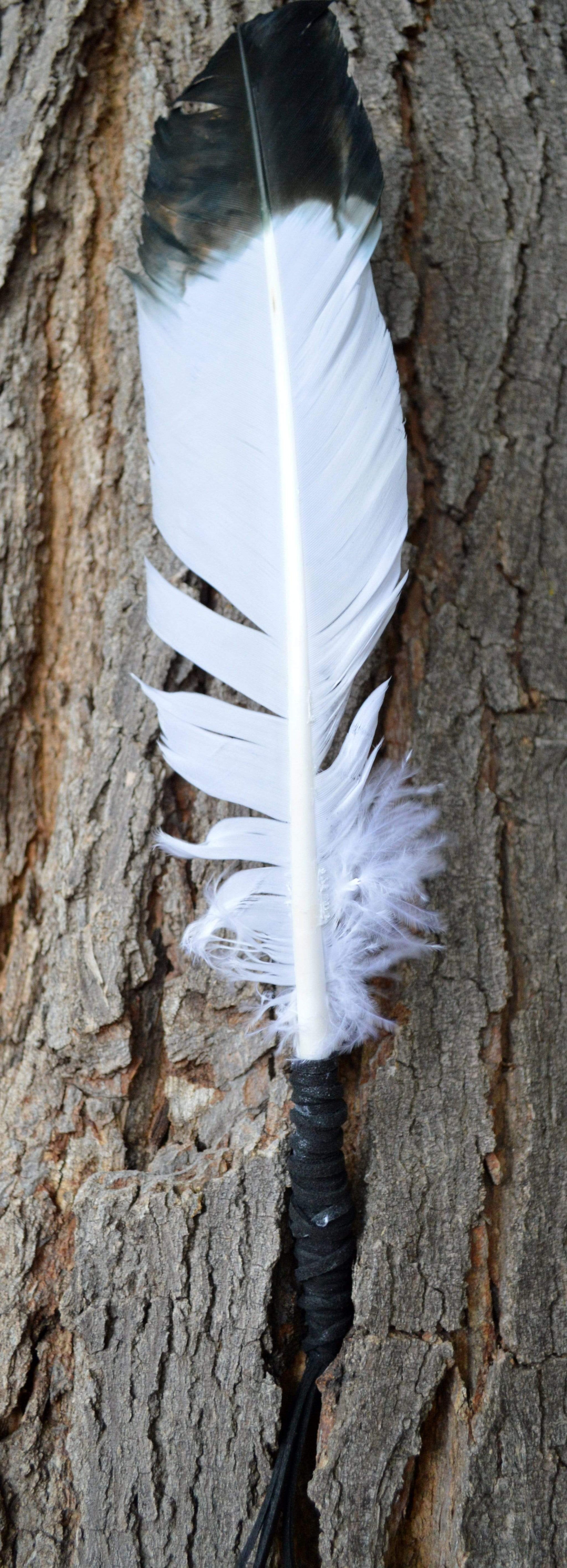 Smudge Incense Accessories Smudging "Eagle" Feather | 8-12"