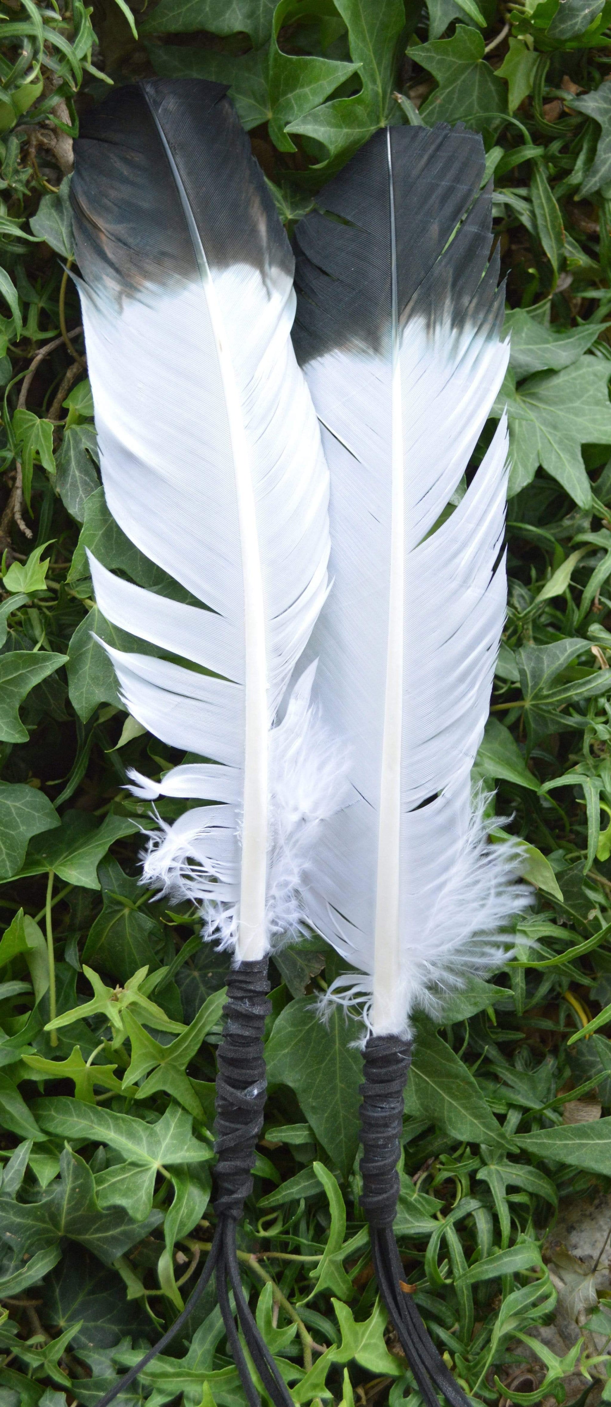 Smudge Incense Accessories Smudging "Eagle" Feather | 8-12"