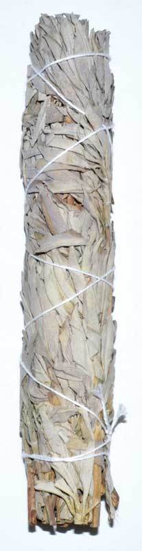 Smudge Sticks White Sage Smudge Stick | 9"
