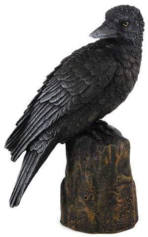 Backward Looking Raven Statue | 6