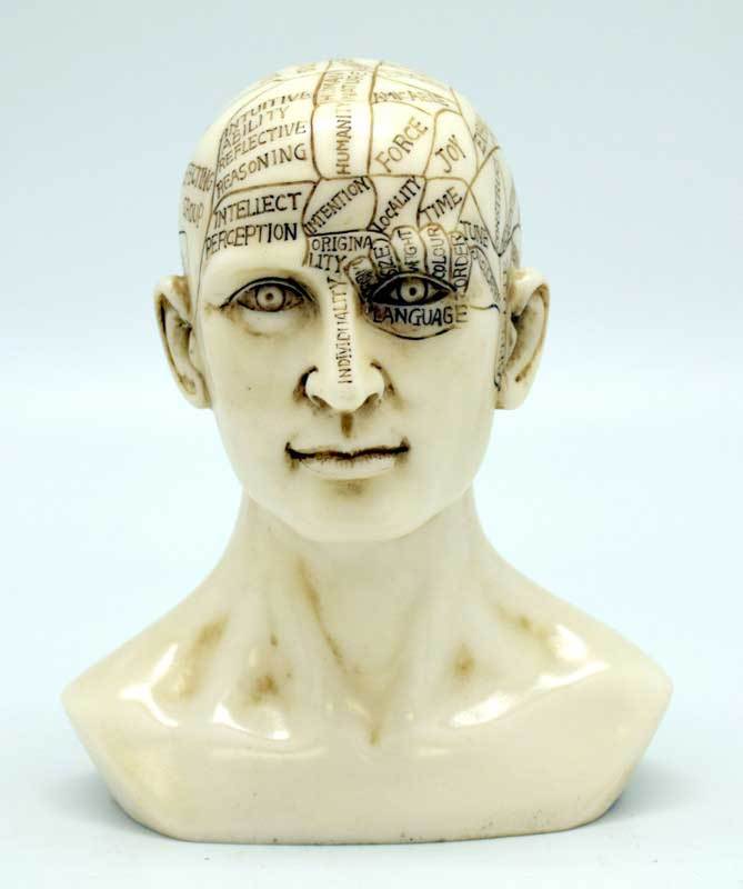 Phrenology Head Statue | 6