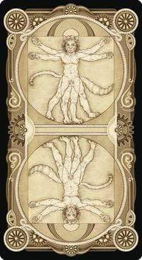Tarot Decks Cat Tarot by Eschenazi & Cammarano