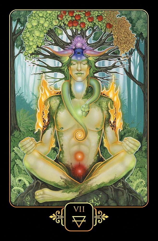 Tarot Decks Dreams of Gaia Tarot by Ravynne Phelan