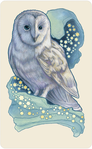 Tarot Decks Dreamscape Oracle by Matt Hughes