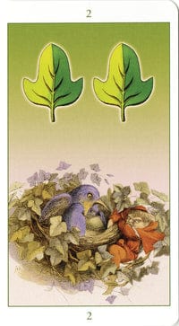 Tarot Decks Fairy Tarot deck by Lo Scarabeo
