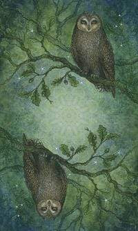 Tarot Decks Forest of Enchantment Tarot by Lunaea Weatherstone, Meraylah Allwood