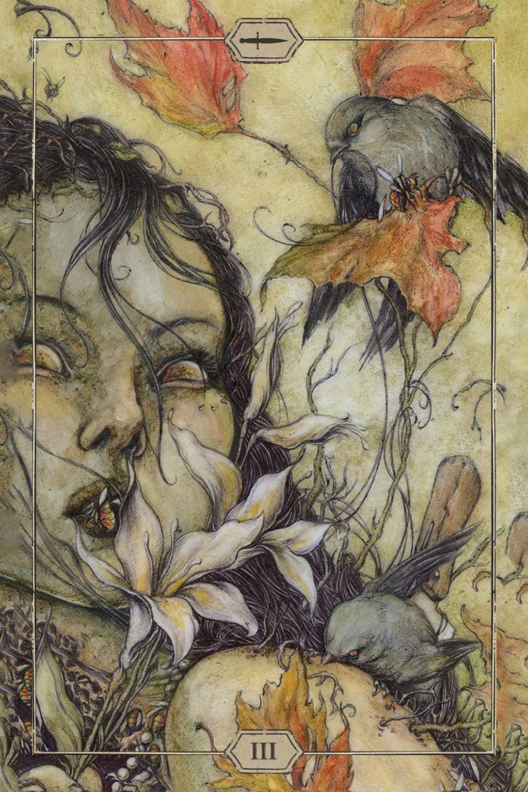 Tarot Decks Hush Tarot by Jeremy Hush