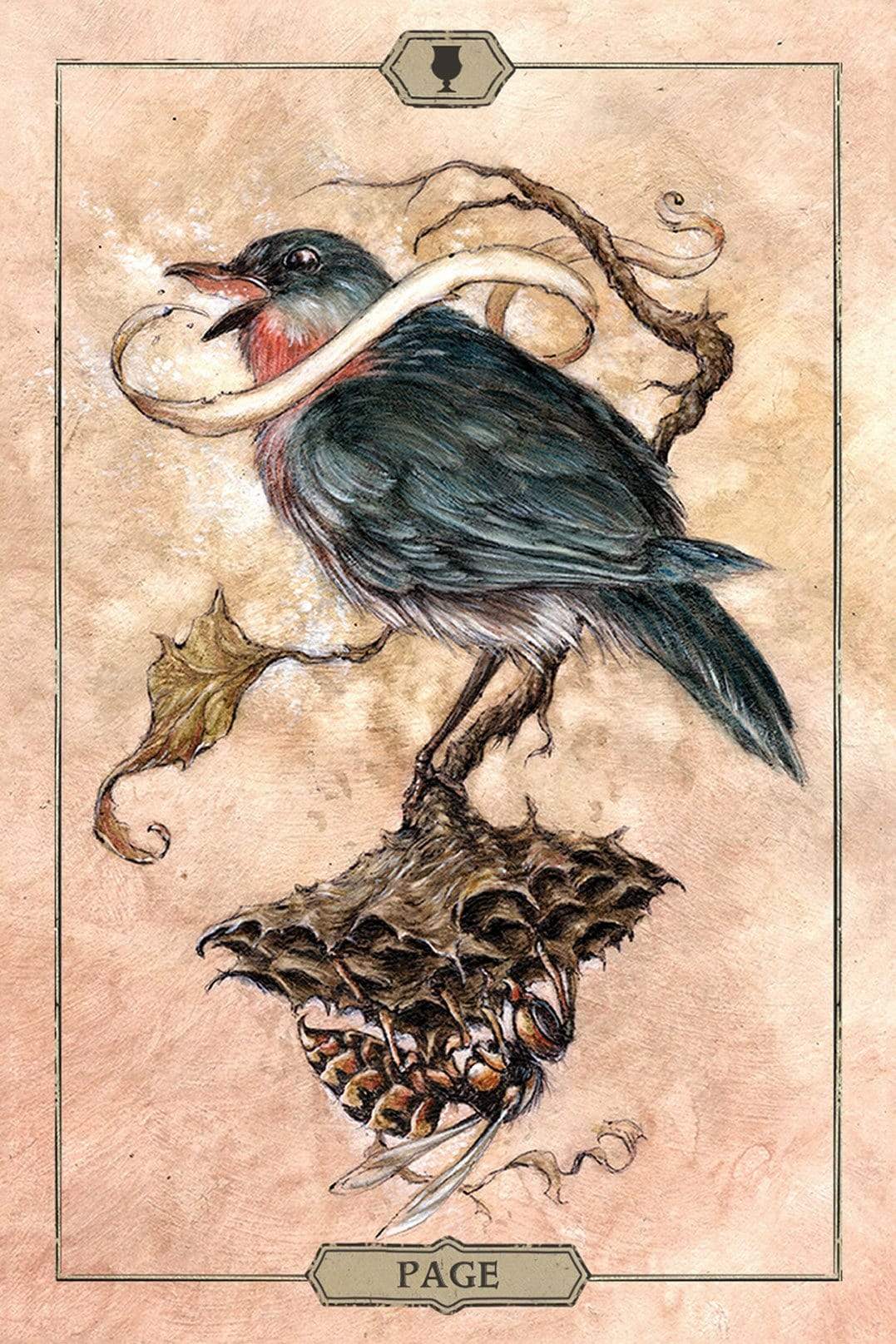 Tarot Decks Hush Tarot by Jeremy Hush