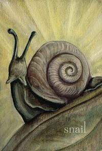 Tarot Decks Liminal Spirits Oracle by Laura Tempest Zakroff