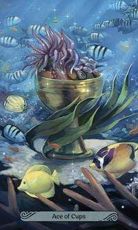 Tarot Decks Mermaid Tarot by Leeza Robertson, Julie Dillon