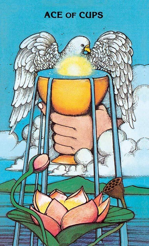 Tarot Decks Morgan Greer Tarot in a Tin by Bill Greer
