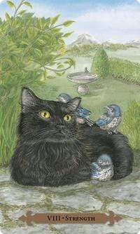 Tarot Decks Mystical Cats Tarot by Lunaea Weatherstone, Mickie Mueller