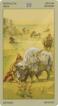 Tarot Decks Native American Tarot By Lo Scarabo