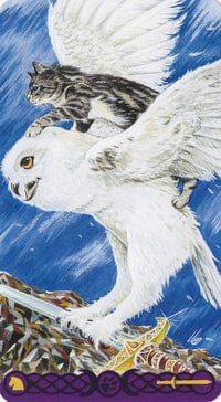 Tarot Decks Pagan Cats Tarot Deck by Lo Scarabo