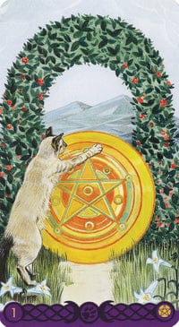 Tarot Decks Pagan Cats Tarot Deck by Lo Scarabo