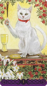 Tarot Decks Pagan Cats Tarot Deck by Lo Scarabo