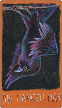 Tarot Decks Raven's Prophecy Deck & Book by Maggie Stiefvater