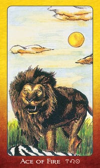 Tarot Decks Tarot of the Orishas Deck and Book by Zolrak & Durkon