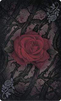 Tarot Decks Tarot of Vampyres Deck and Book