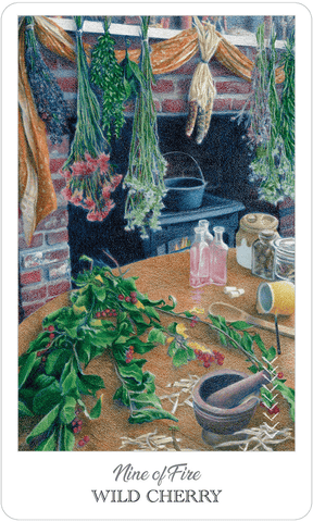 The Herbcrafter's Tarot by Colbert & Guthrie