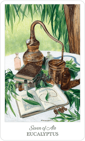 The Herbcrafter's Tarot by Colbert & Guthrie