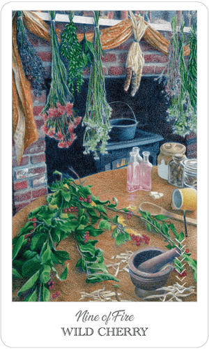Tarot Decks The Herbcrafter's Tarot by Colbert & Guthrie