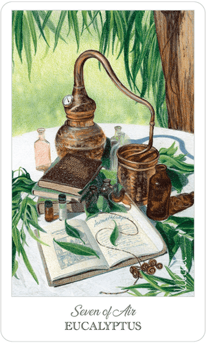 Tarot Decks The Herbcrafter's Tarot by Colbert & Guthrie