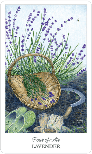 Tarot Decks The Herbcrafter's Tarot by Colbert & Guthrie