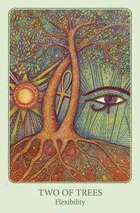 Tarot Decks The Tarot of Light by Denise Jarvie, Toni Carmine Salerno