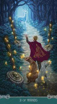 Tarot Decks Universal Celtic Tarot by Floreana Nativo, Cristina Scagliotti