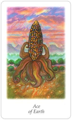 Tarot Decks Vision Quest Tarot By Winter & Dose