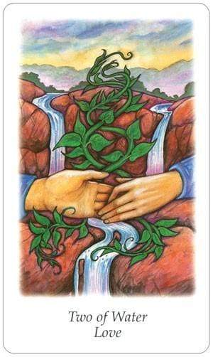 Tarot Decks Vision Quest Tarot By Winter & Dose