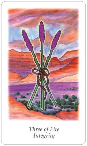 Tarot Decks Vision Quest Tarot By Winter & Dose
