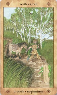 Tarot Decks Voice of the Trees Tarot Deck & Book by Mickie Mueller