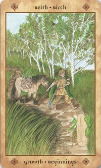 Voice of the Trees Tarot Deck & Book by Mickie Mueller