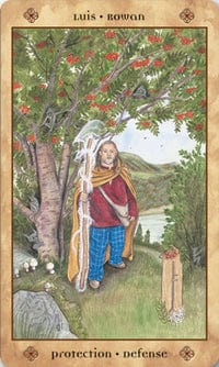 Tarot Decks Voice of the Trees Tarot Deck & Book by Mickie Mueller